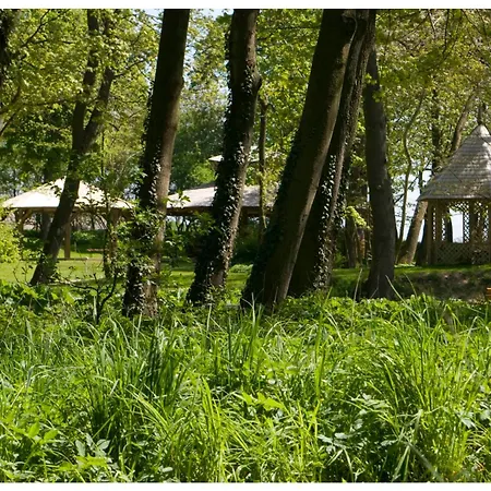 Wieniawa 4* Rekowo (Puck)