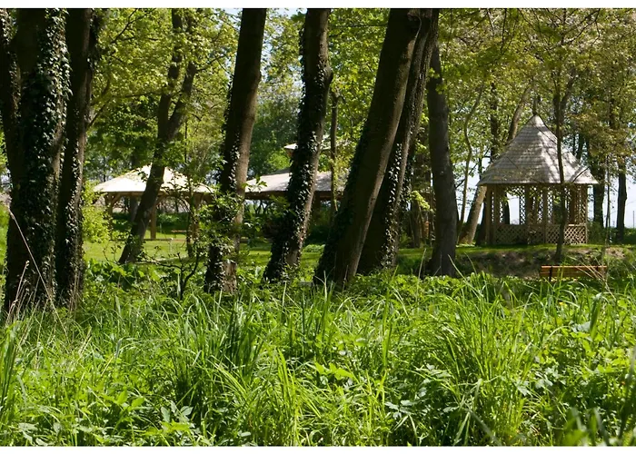 Wieniawa 4* Rekowo (Puck)